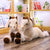 Horse Plushie
