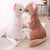 Ferret Plush