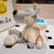 Adorable Wolf in Sheep's Clothing Plush - Stuffed Plush Toys