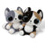 Cat Plush Big Eyes
