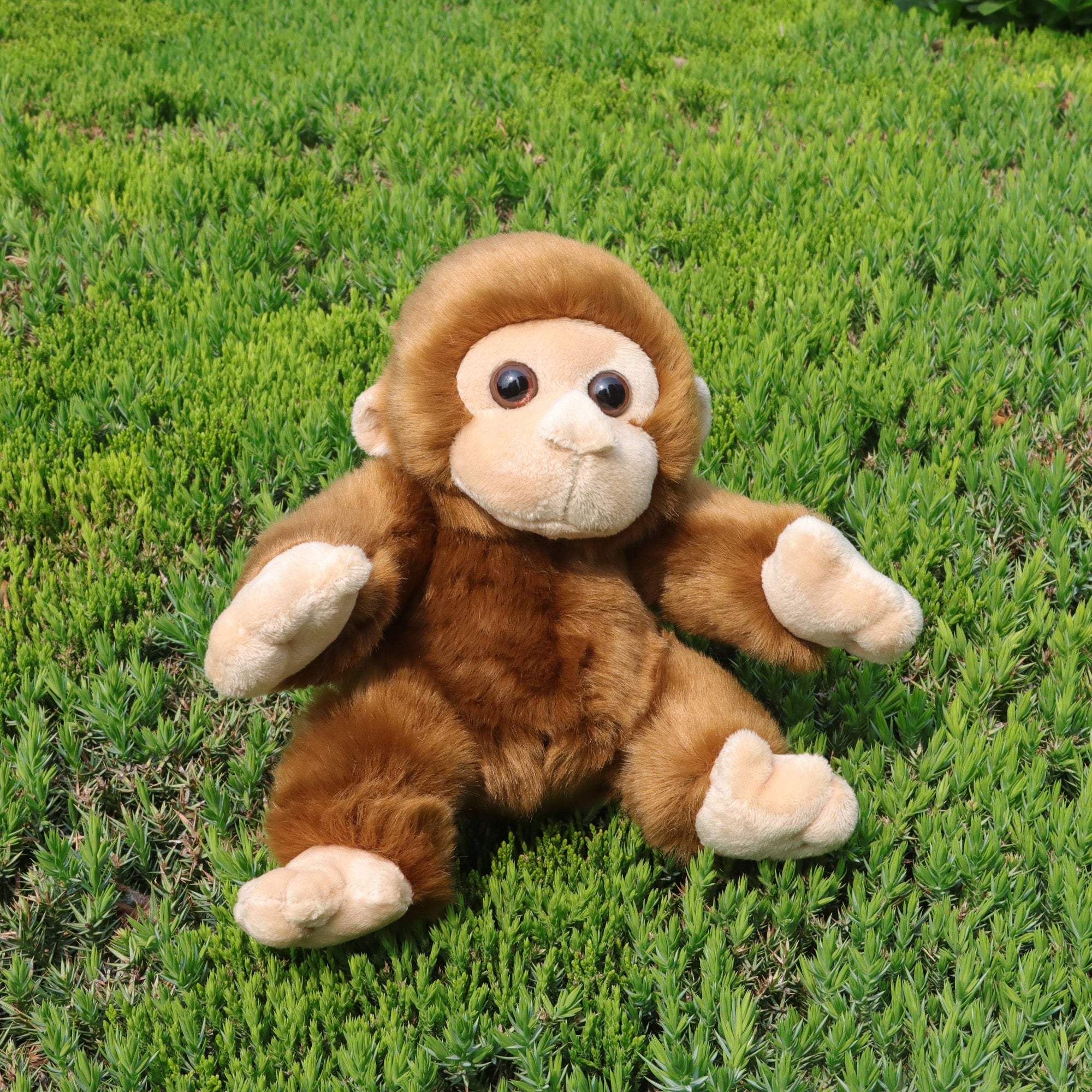 Monkey Plush Toy