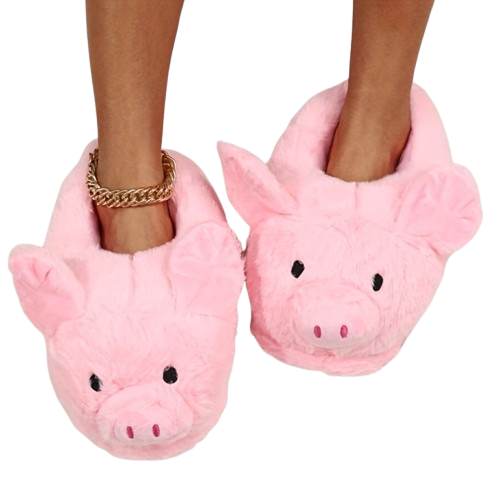 Pork Slippers