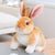 Realistic Rabbit Plush - Stuffed Plush Toys