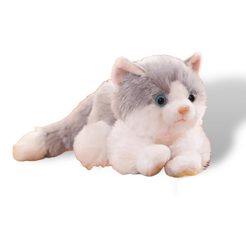 Stuffed Cat