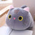 Cat Plush